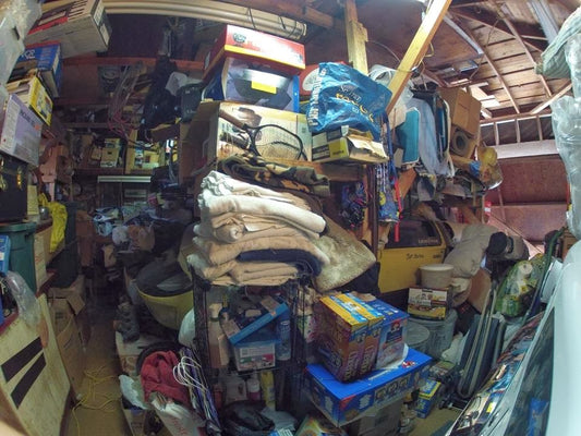 Revisiting The Buried and Forgotten Ford GT40