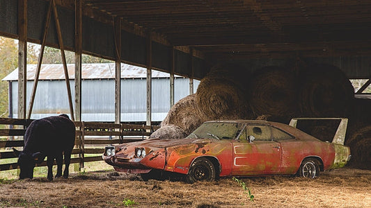 Barn Find Sells for a Whopping $90,000 at Mecum Florida