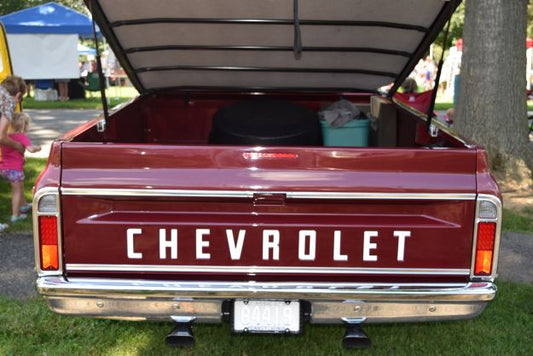 Gary's 1969 Chevrolet C-20 Longhorn