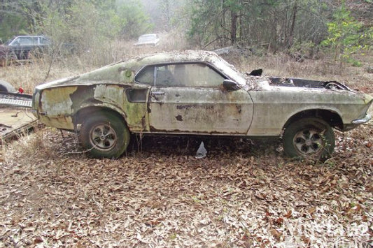 Left For Dead In A Field of (Broken) Dreams