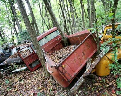 Old truck barn find in woods with trees