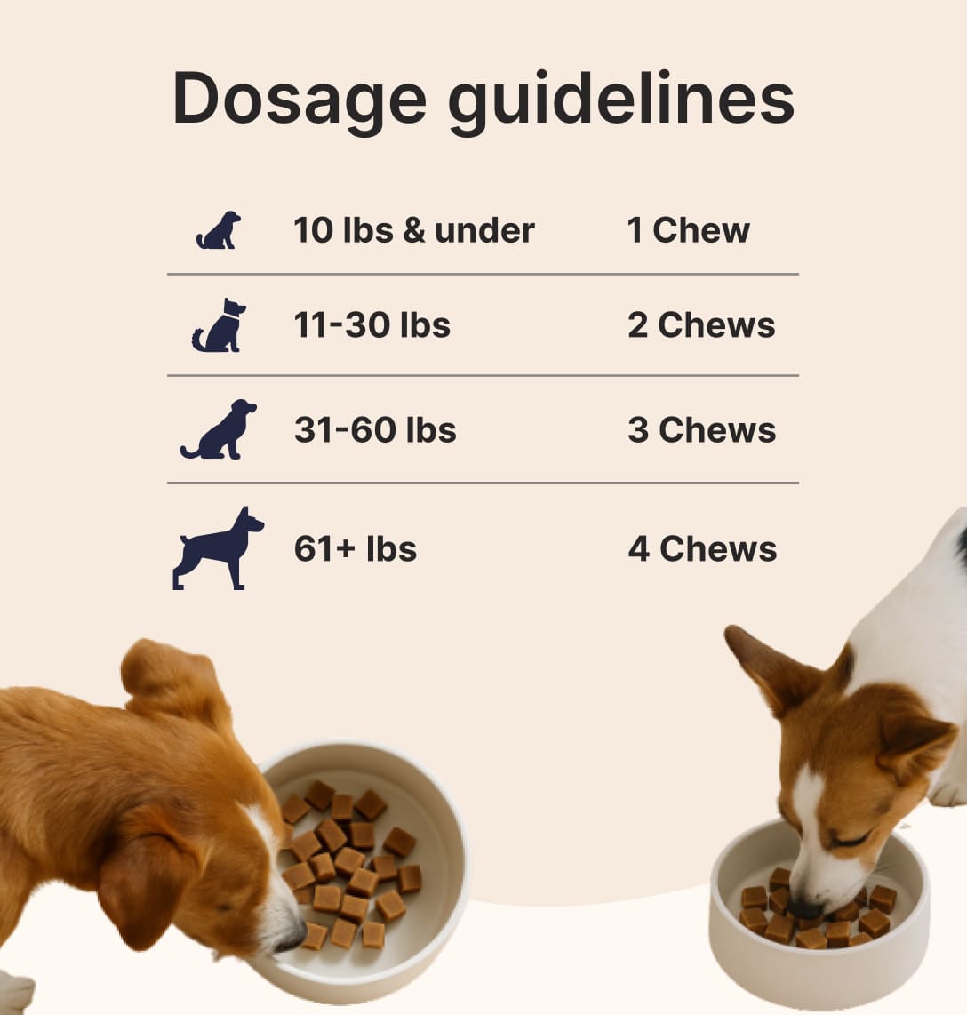 Daily Multivitamin for Dogs
