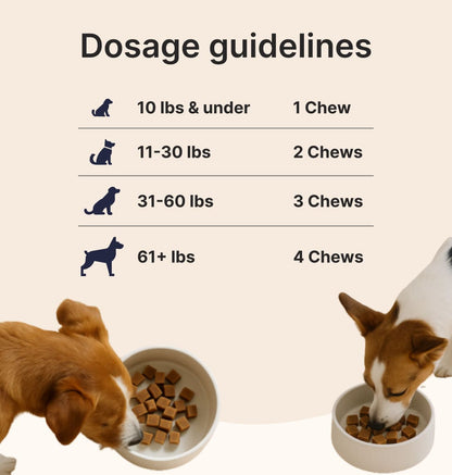 Daily Multivitamin for Dogs 1+1 Bundle(Chicken & Beef)