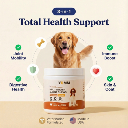 Daily Joint + Multivitamin Soft Chews for Dogs