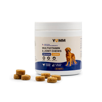 Daily Multivitamin for Dogs 1+1 Bundle(Chicken & Beef)
